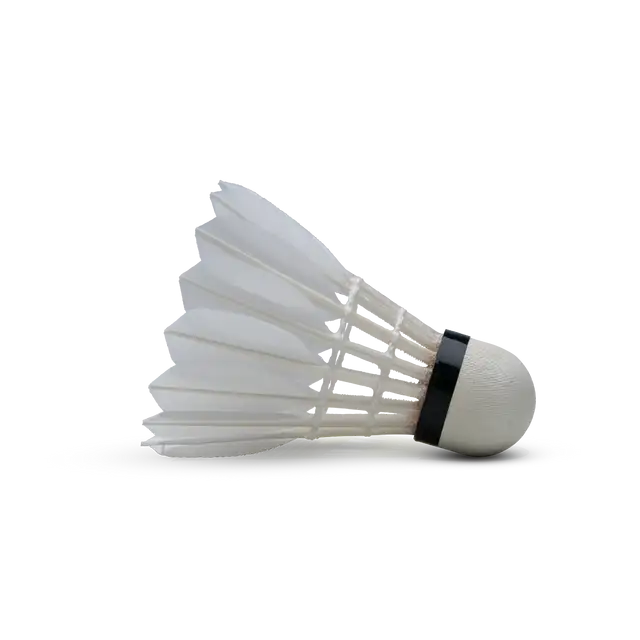 HUNDRED H+100 BWF APPORVED FEATHER SHUTTLE COCK