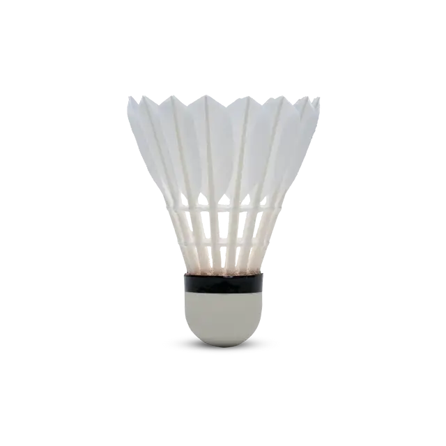 HUNDRED H+100 BWF APPORVED FEATHER SHUTTLE COCK